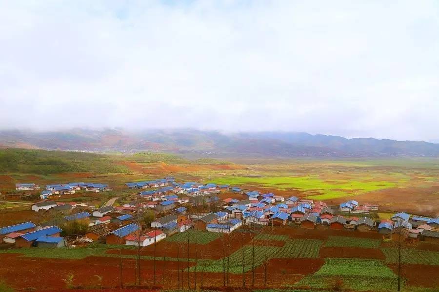 附子帶動下的火燈村一角